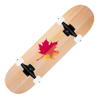 Χαμηλού θορύβου Skateboard ρουλεμάν χάλυβα άνθρακα εκτύπωση μεταφοράς θερμότητας